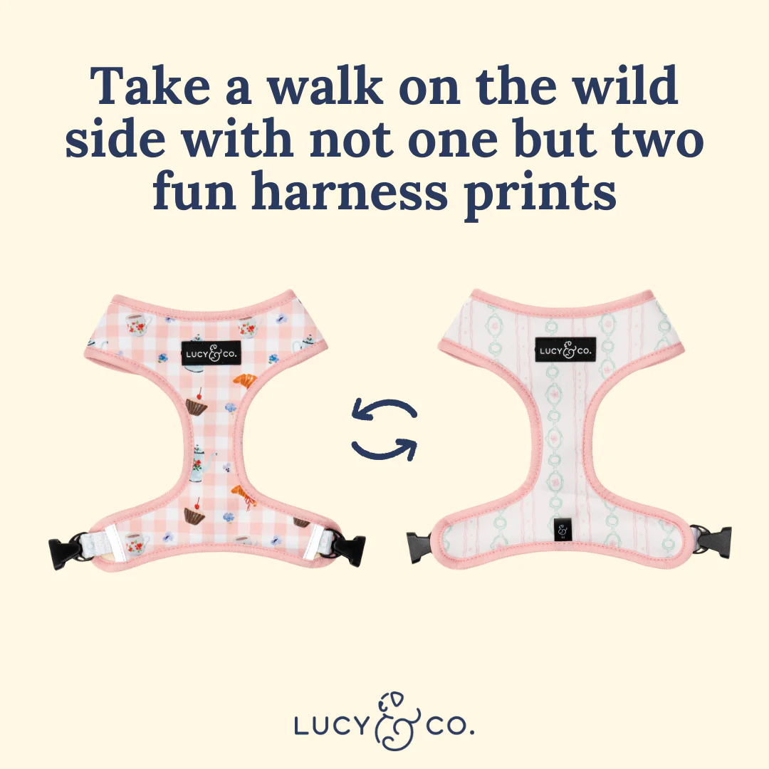 Sipping Slowly Reversible Harness - Image 6
