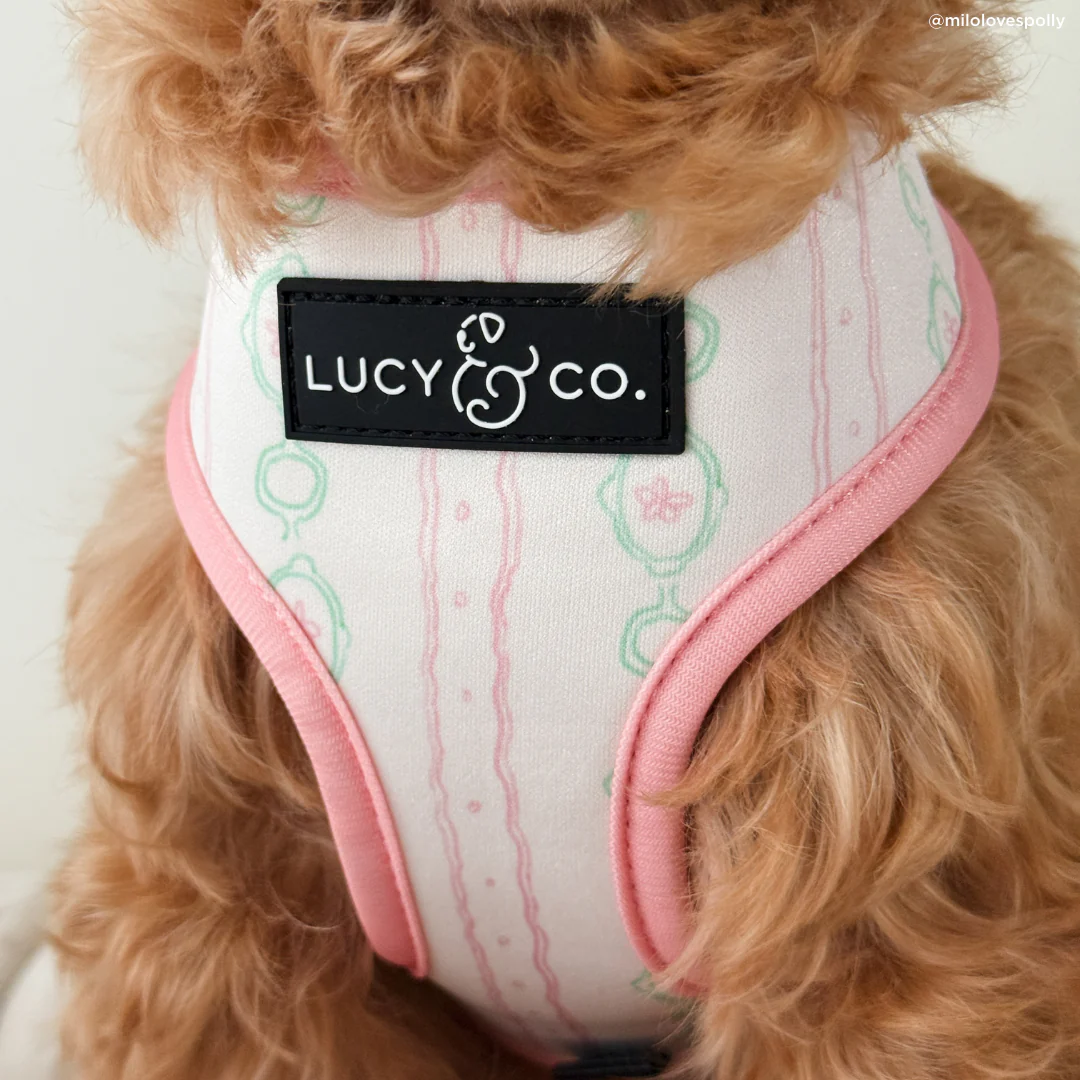 Sipping Slowly Reversible Harness - Image 7