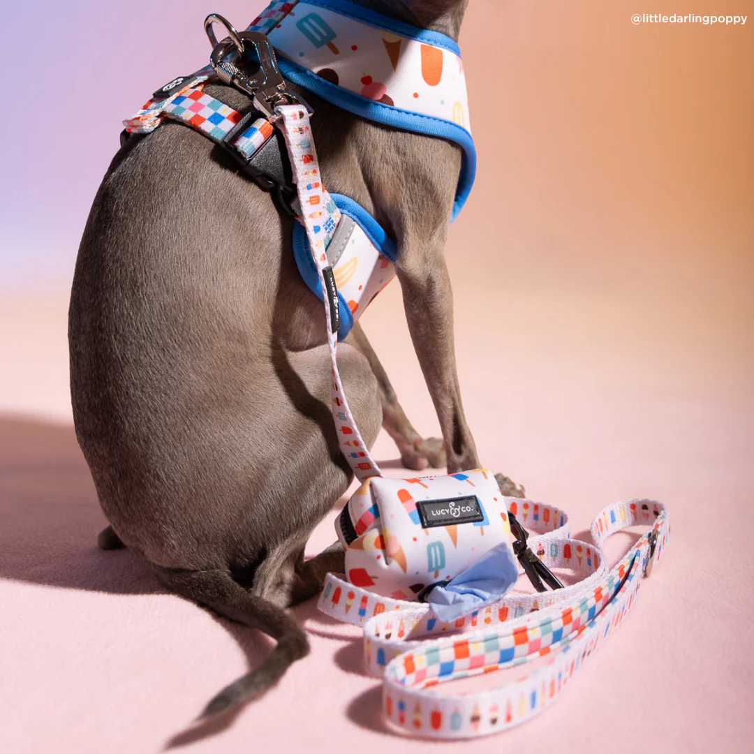 Sundae Kinda Love Leash - Image 3