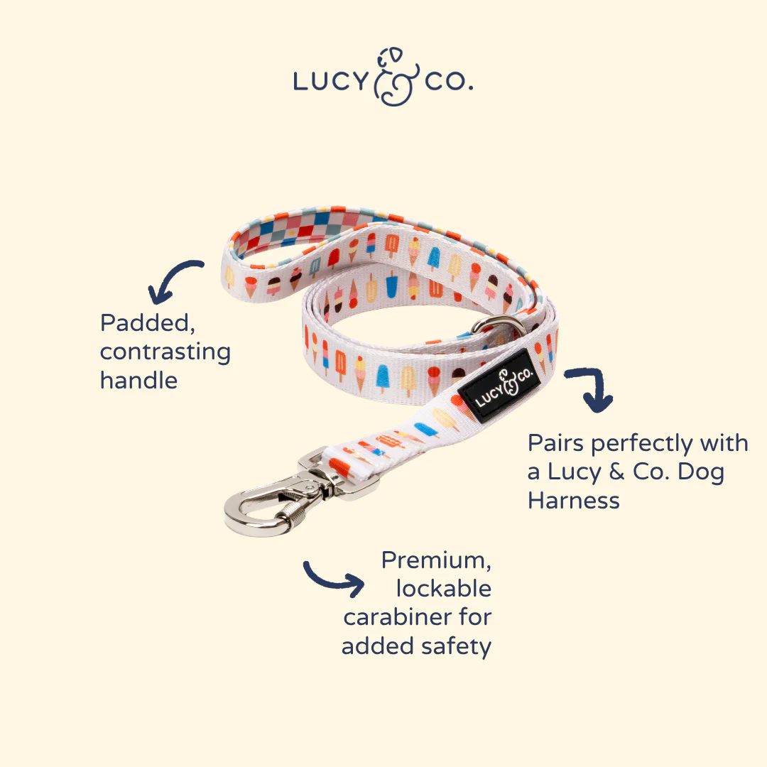 Sundae Kinda Love Leash - Image 7