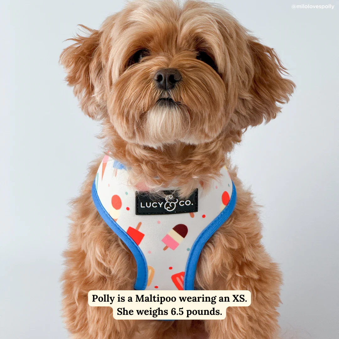 Sundae Kinda Love Reversible Harness - Image 4