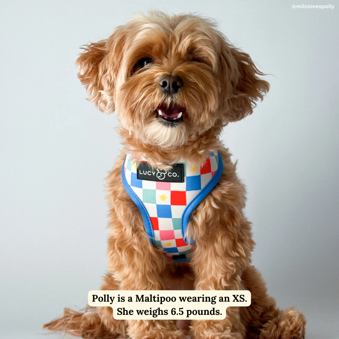 Sundae Kinda Love Reversible Harness - Image 5