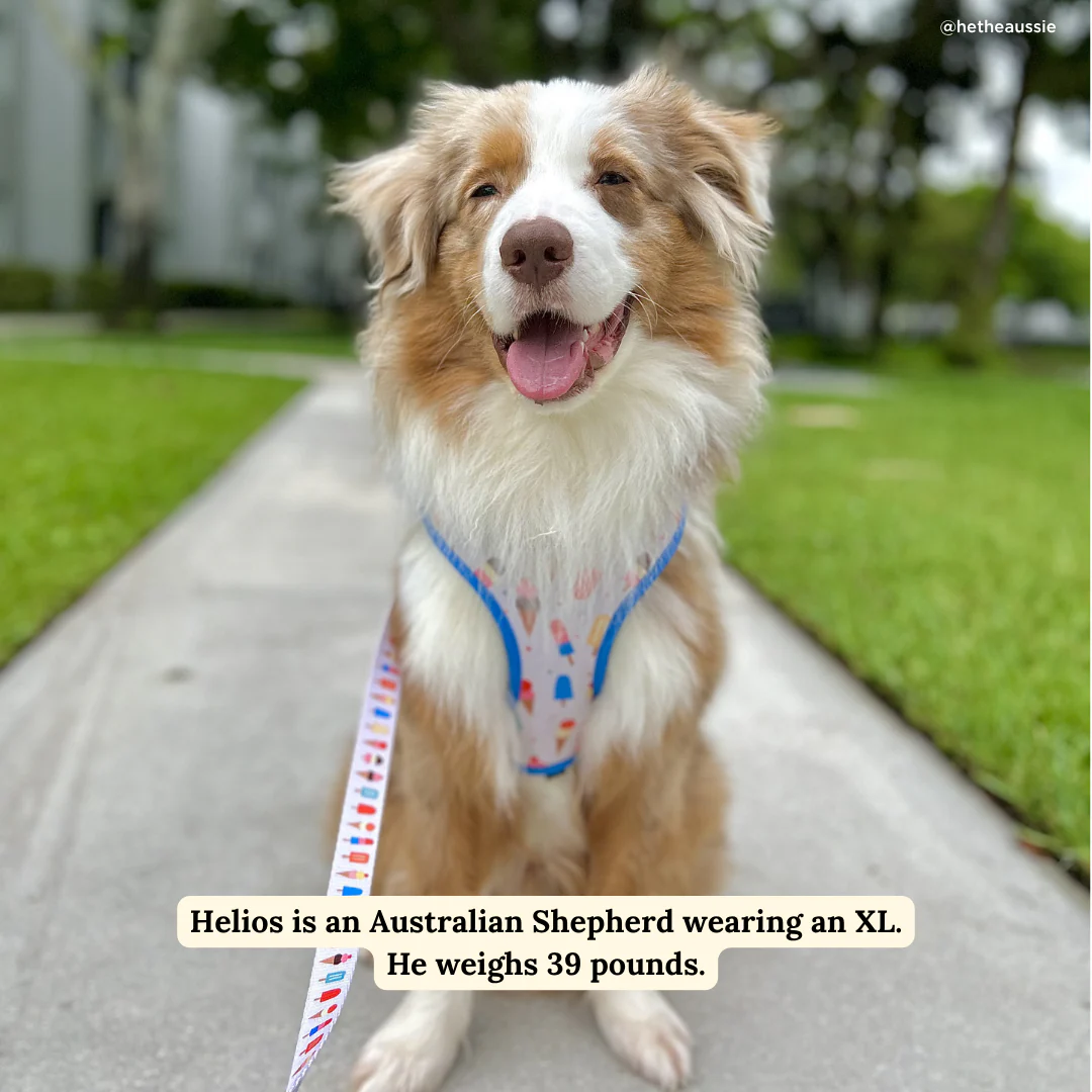 Sundae Kinda Love Reversible Harness - Image 6