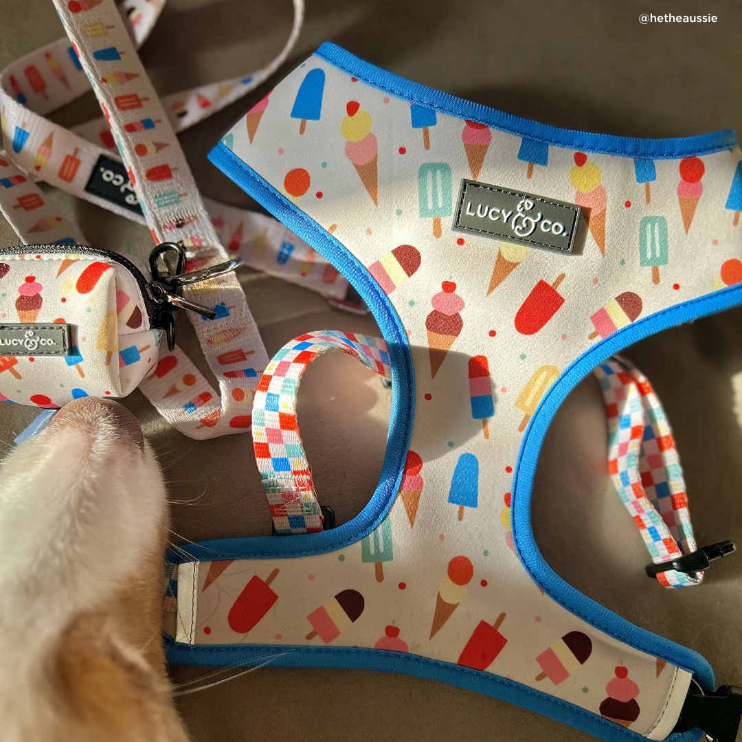 Sundae Kinda Love Reversible Harness - Image 7