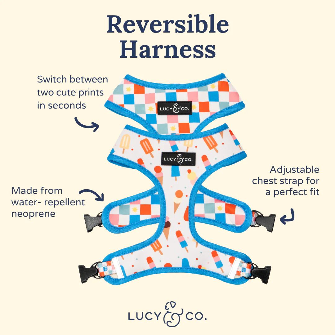Sundae Kinda Love Reversible Harness - Image 8