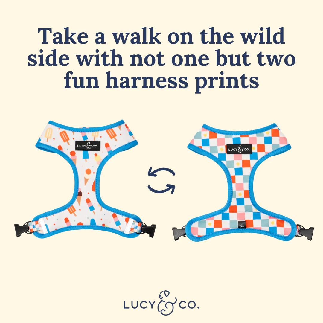 Sundae Kinda Love Reversible Harness - Image 9