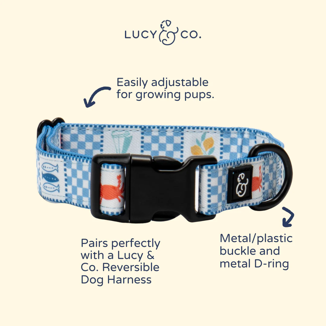 Sunny in Sicily Collar - Image 3