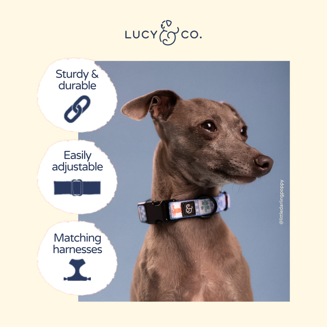 Sunny in Sicily Collar - Image 4