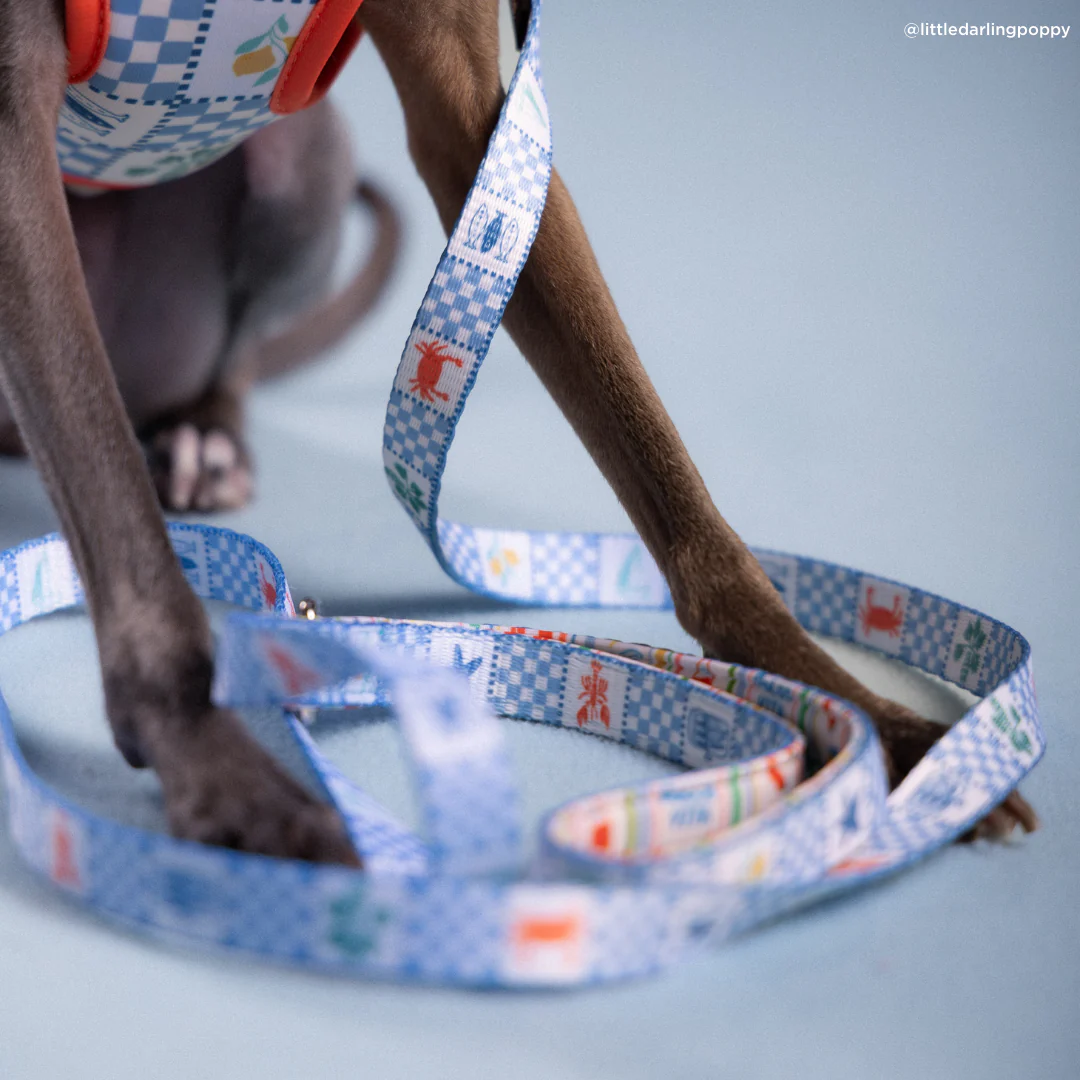 Sunny in Sicily Leash - Image 3