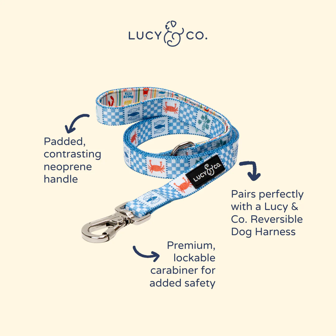 Sunny in Sicily Leash - Image 4