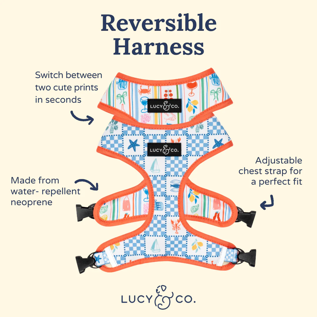 Sunny in Sicily Reversible Harness - Image 5