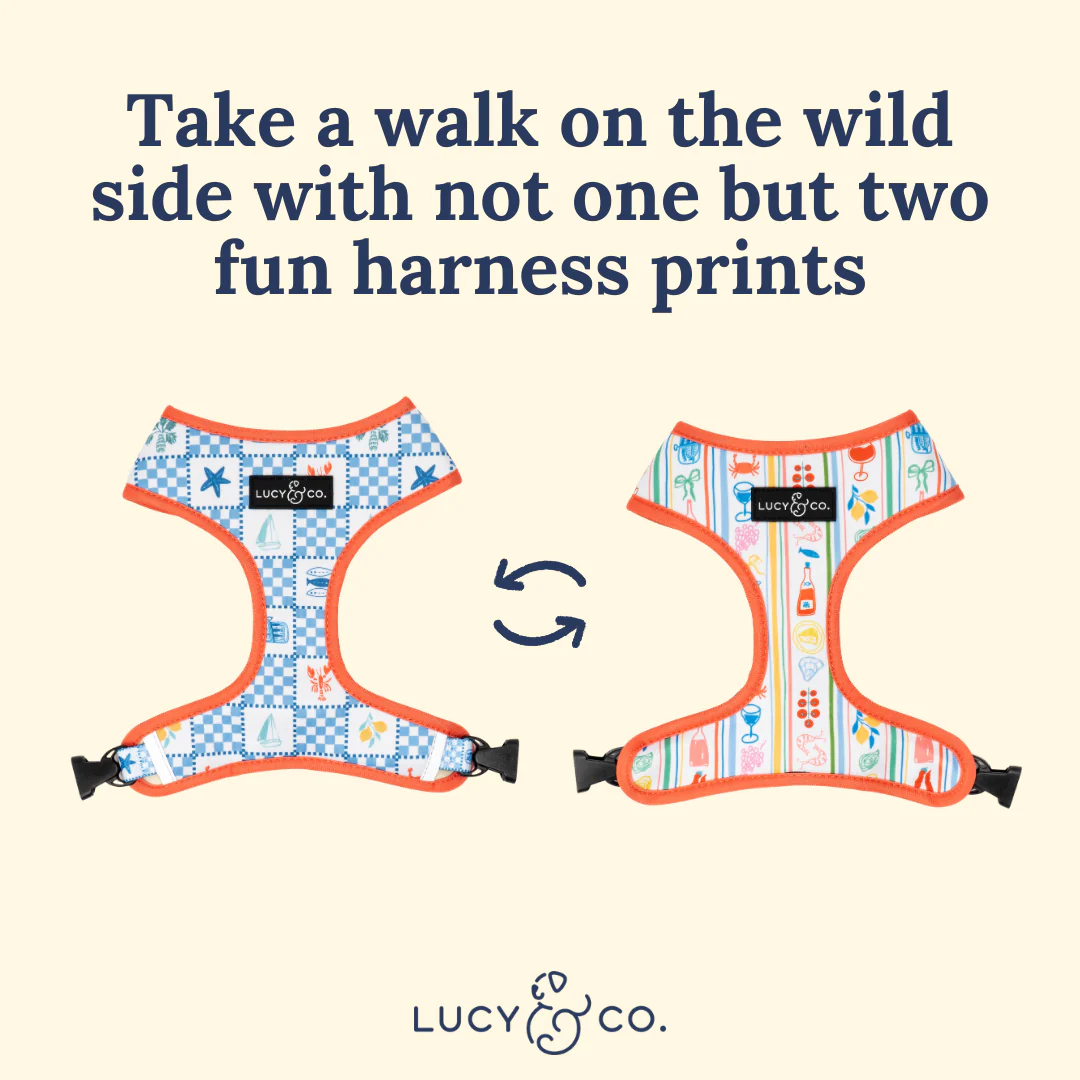 Sunny in Sicily Reversible Harness - Image 6
