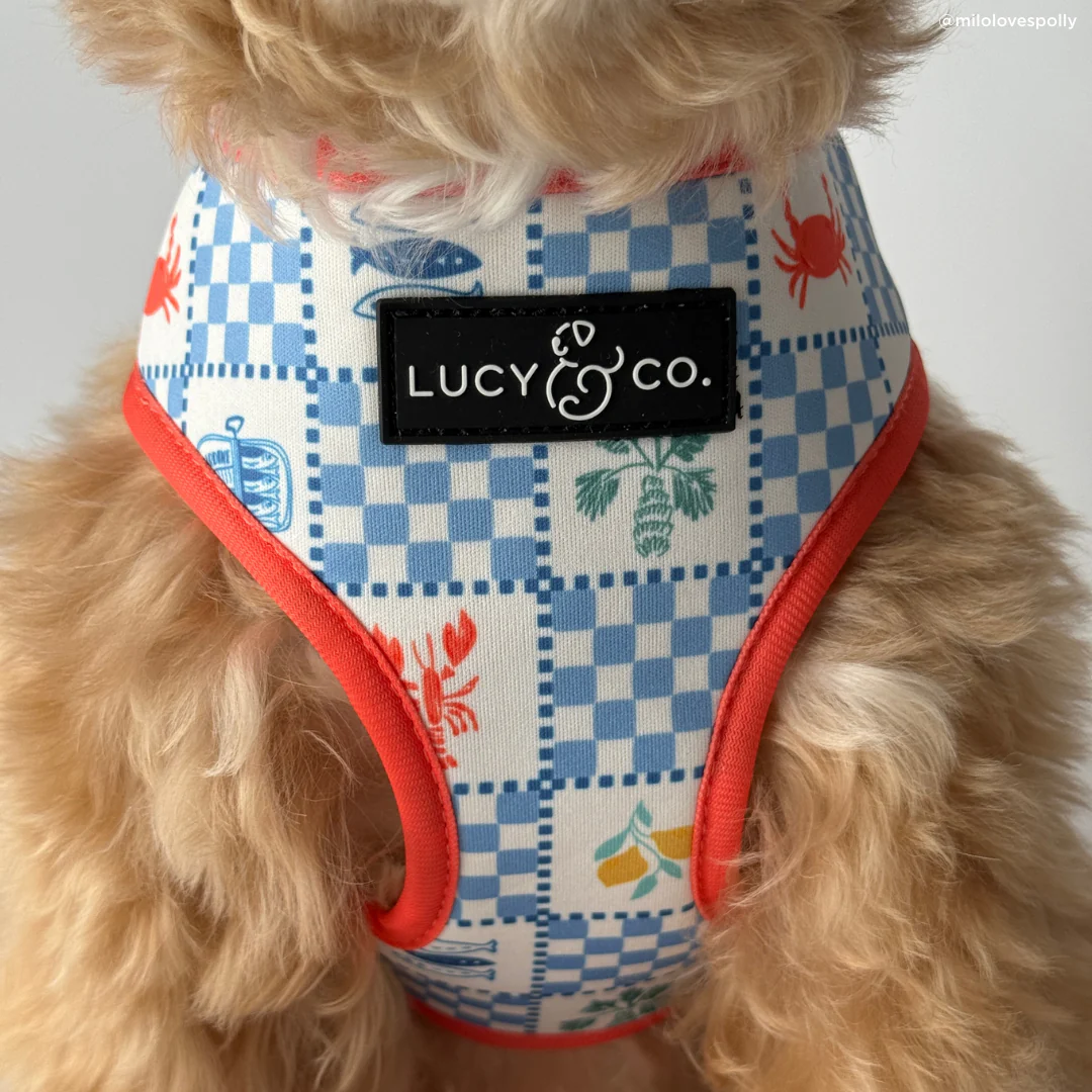 Sunny in Sicily Reversible Harness - Image 7