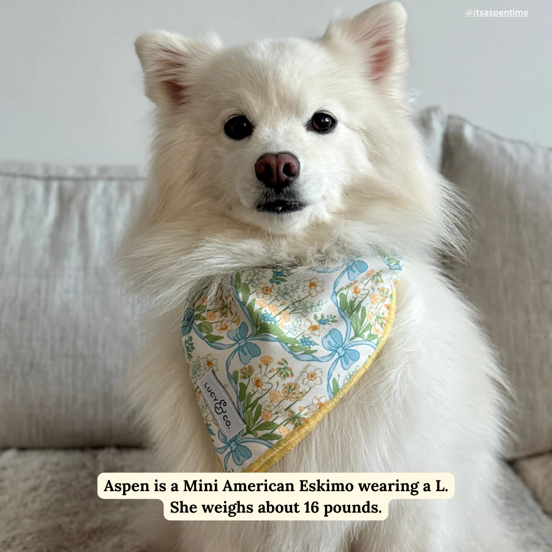 Sunshine and Daffodils Bandana - Image 6