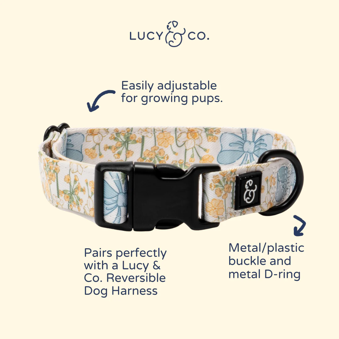 Sunshine and Daffodils Collar - Image 3