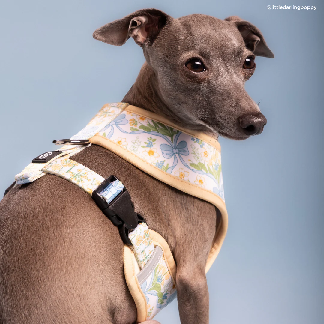 Sunshine and Daffodils Reversible Harness - Image 4
