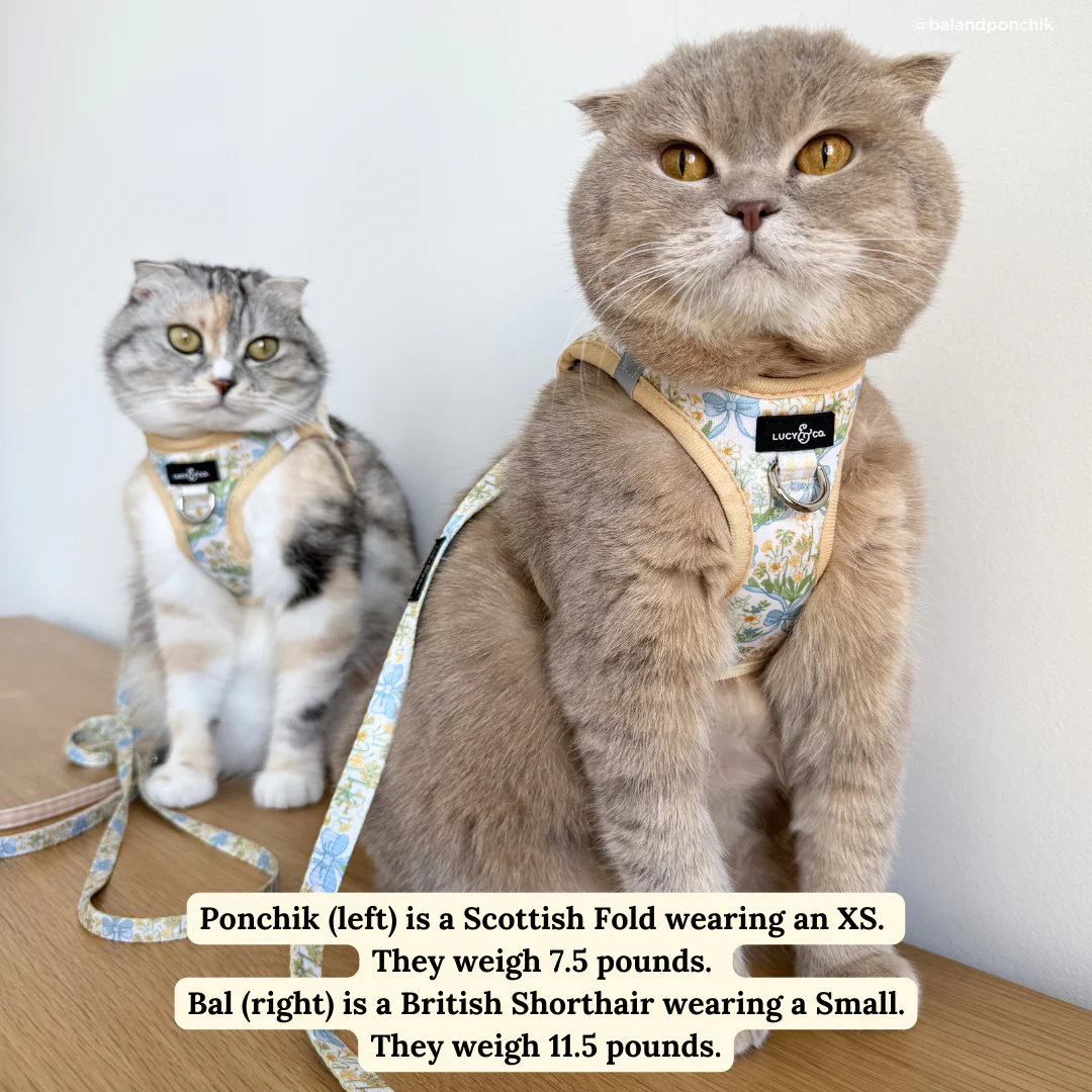 Sunshine and Daffodils Step-in Cat Harness - Image 3