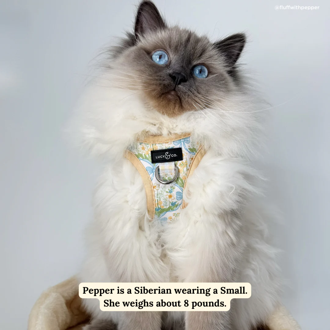 Sunshine and Daffodils Step-in Cat Harness - Image 4