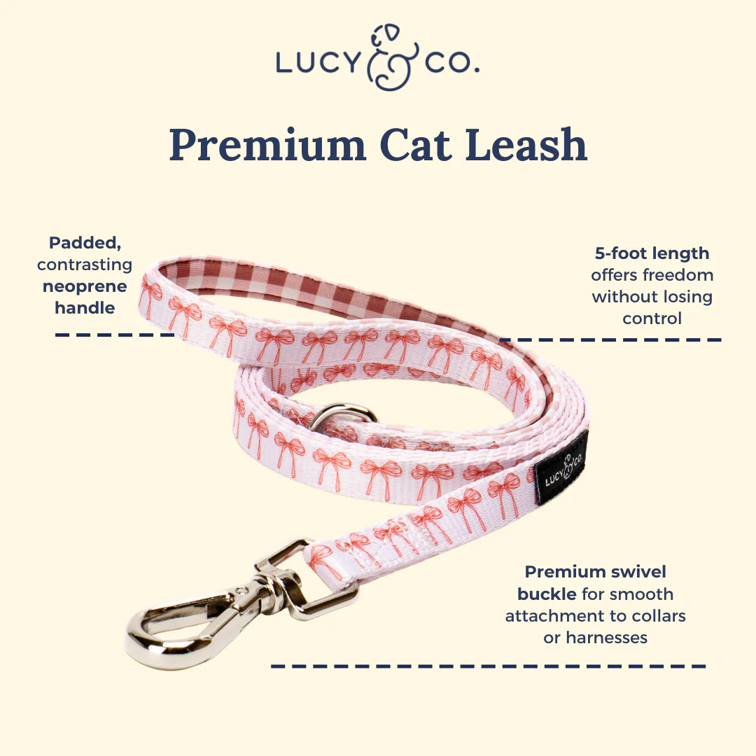 Take a Bow Cat Leash - Image 3