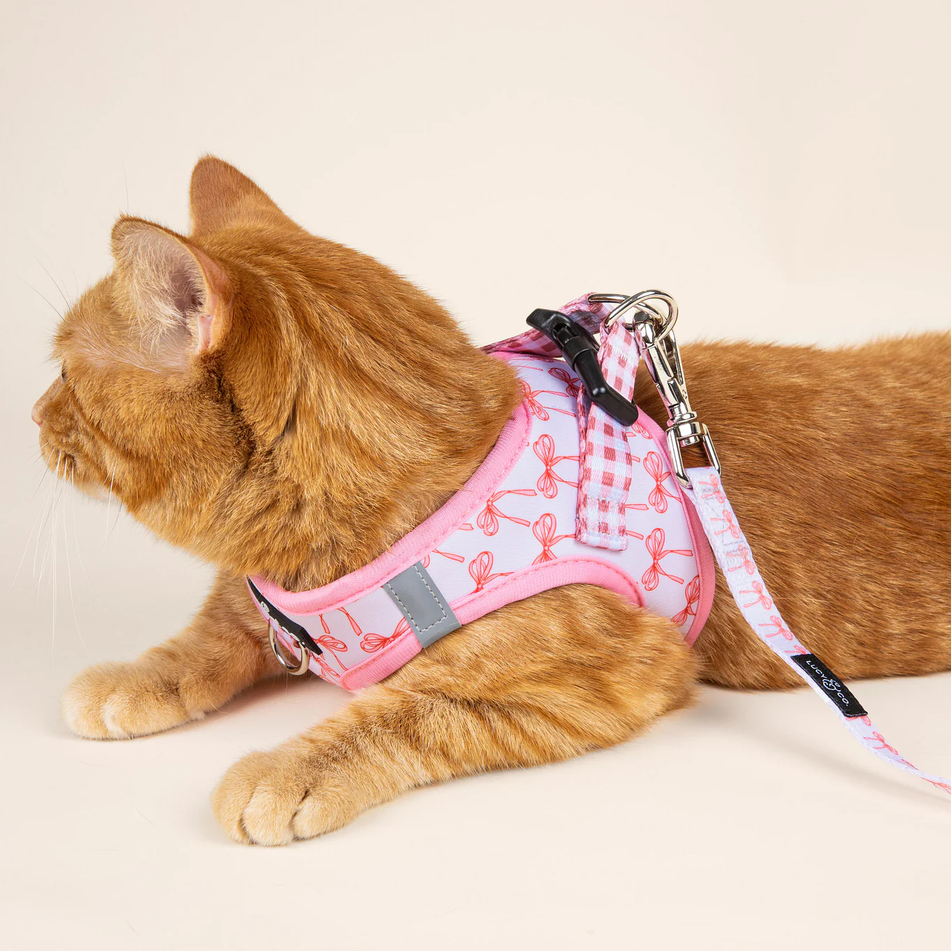 Take a Bow Step-in Cat Harness - Image 4