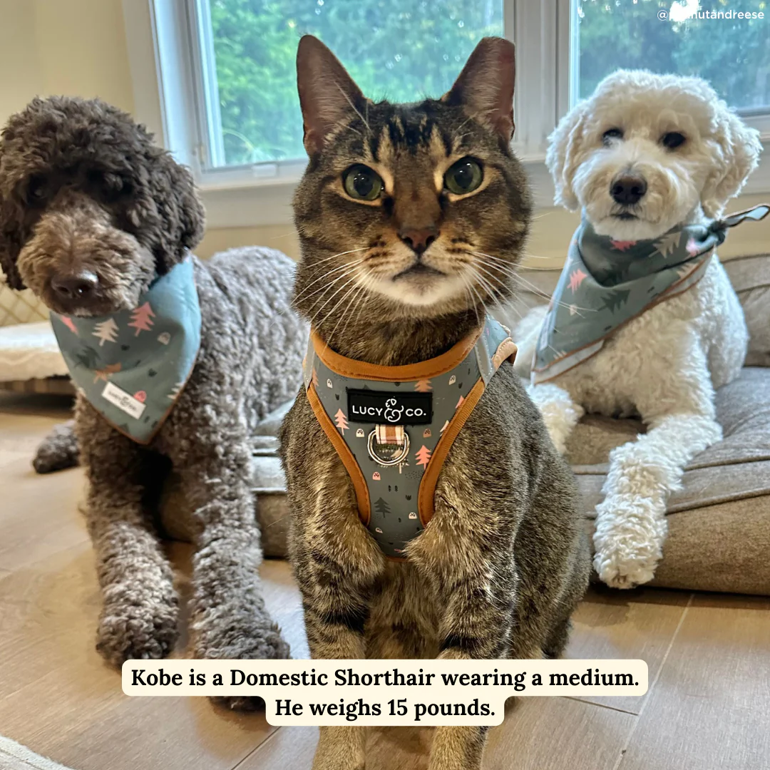 Take a Hike Step-in Cat Harness - Image 3