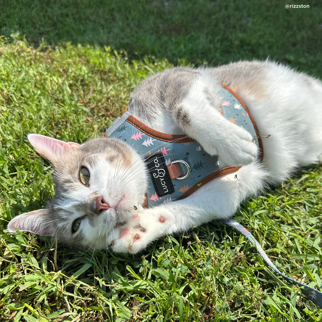 Take a Hike Step-in Cat Harness - Image 4