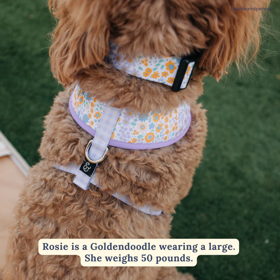 Among the Wildflowers Collar - Image 3