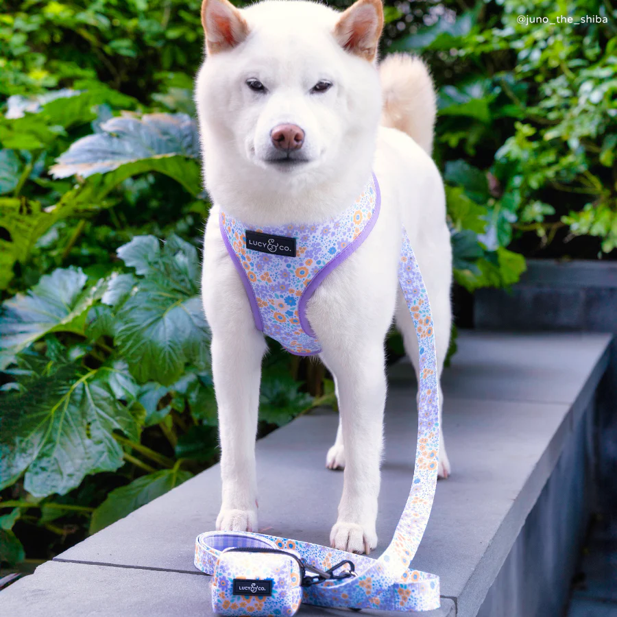 Among the Wildflowers Leash - Image 3