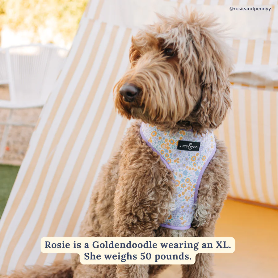 Among the Wildflowers Reversible Harness - Image 3