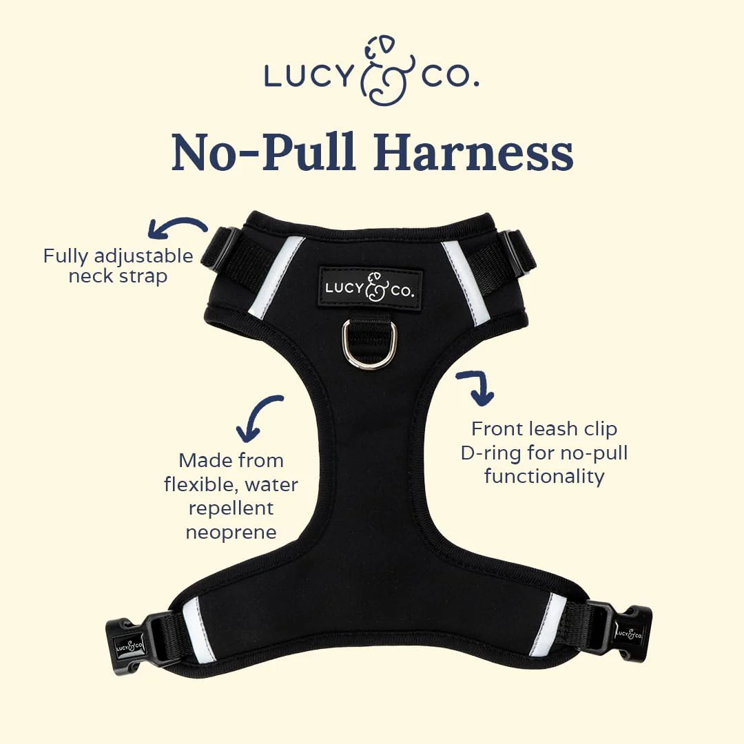 Midnight No-Pull Harness - Image 6