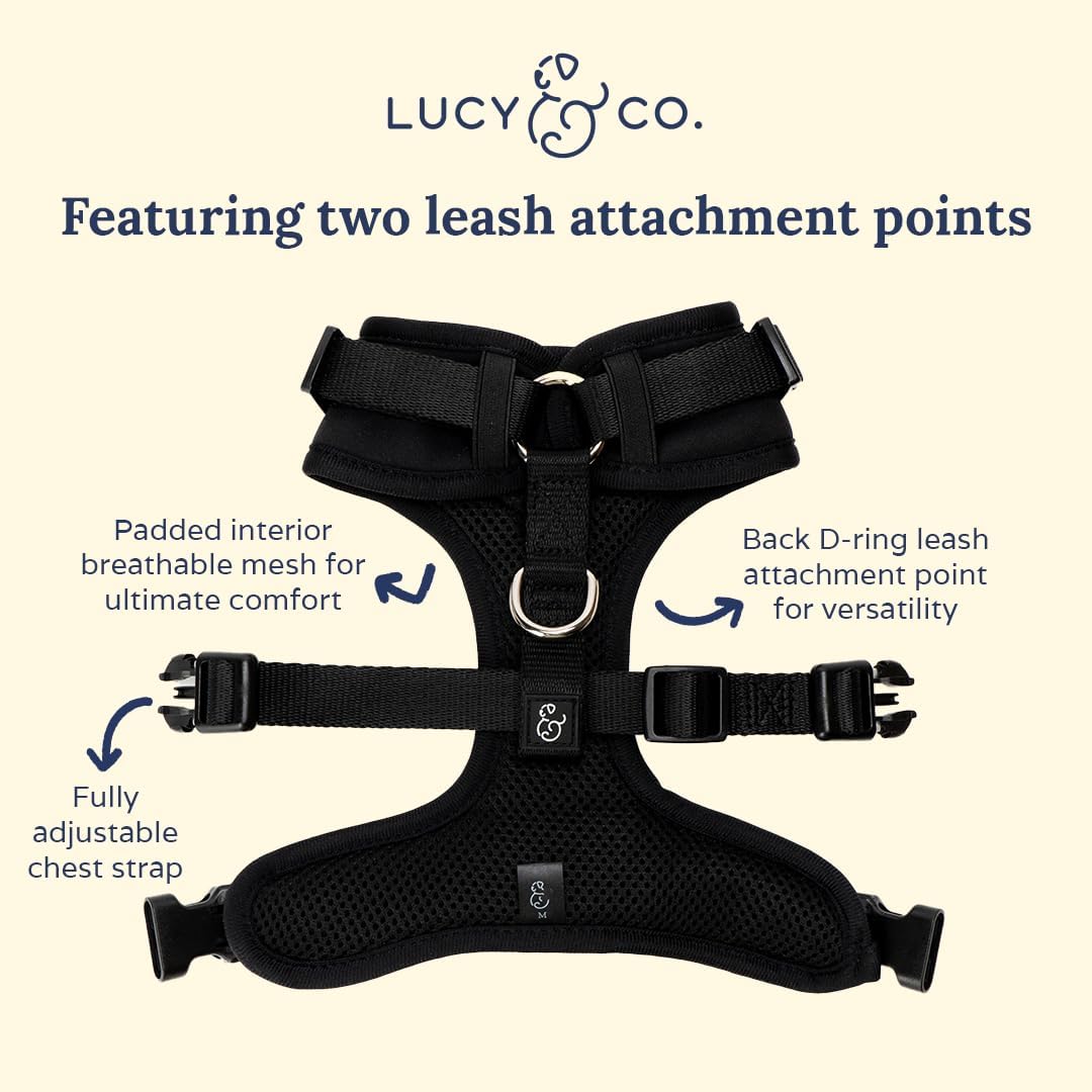Midnight No-Pull Harness - Image 7