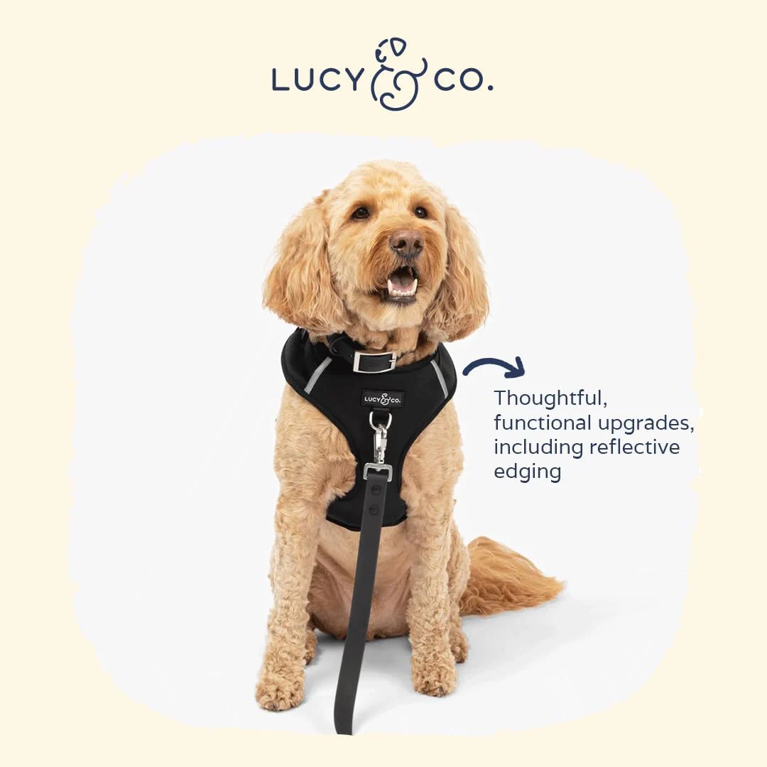 Midnight No-Pull Harness - Image 8