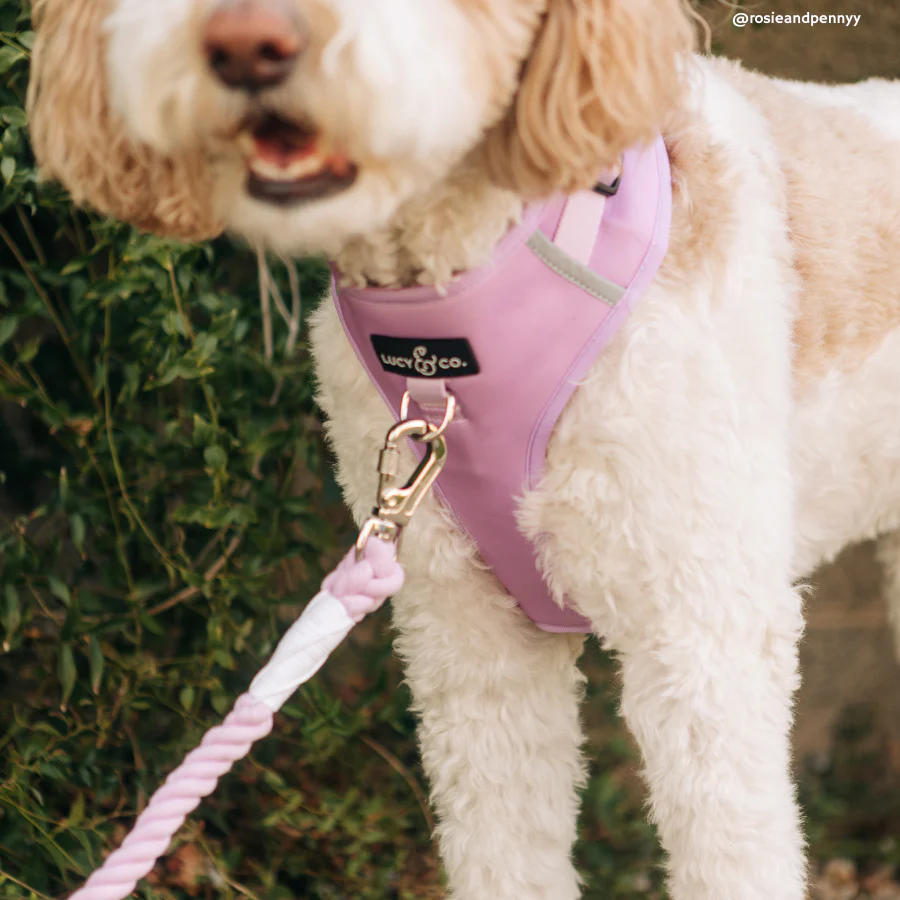 Bouquet Hands-Free Rope Leash - Image 4