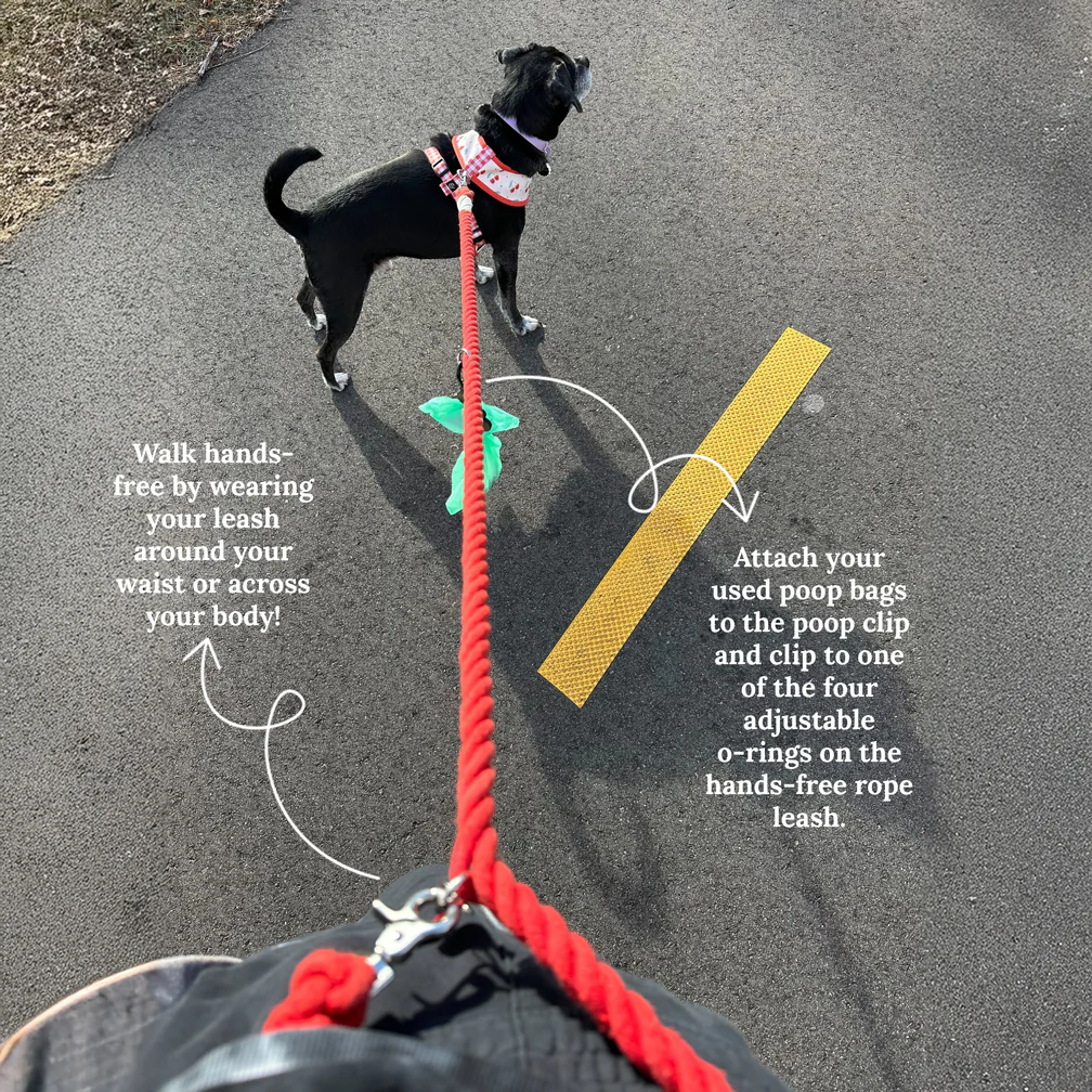 Cupid's Crush Hands-Free Rope Leash - Image 4