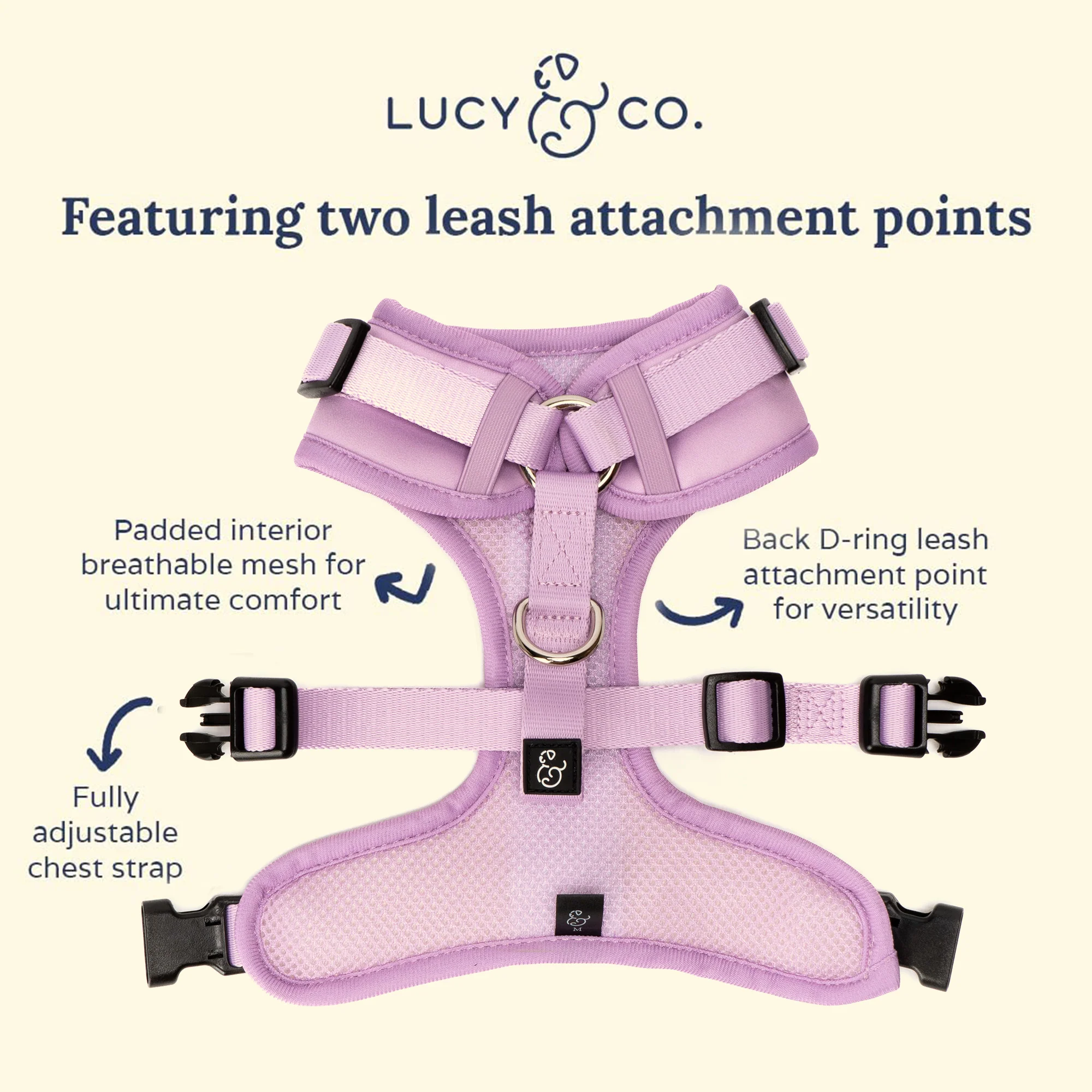 Bouquet No-Pull Harness - Image 9