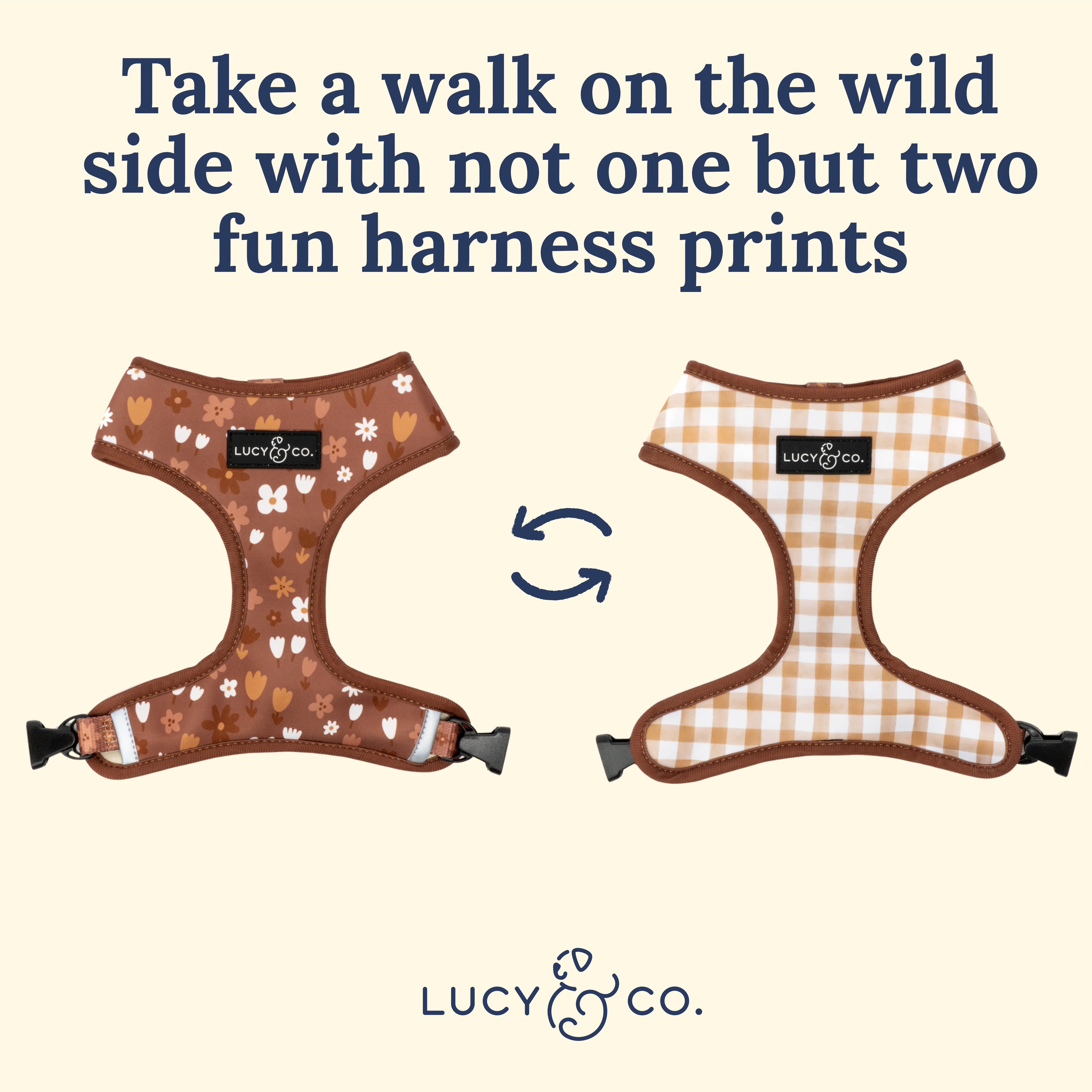 Chocolate Meadows Reversible Harness - Image 4