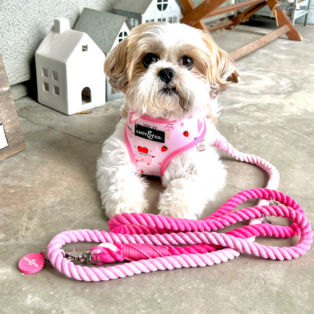 Cupid's Crush Hands-Free Rope Leash - Image 3