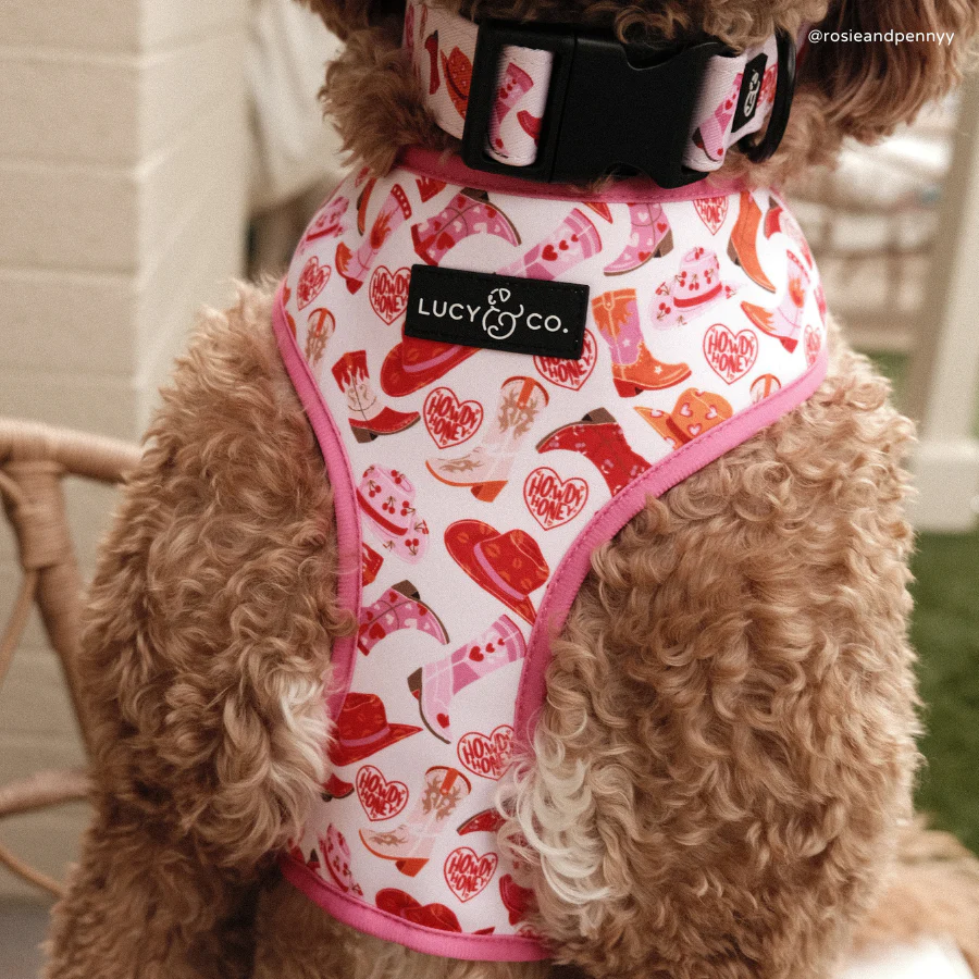 Howdy, Honey Reversible Harness - Image 3