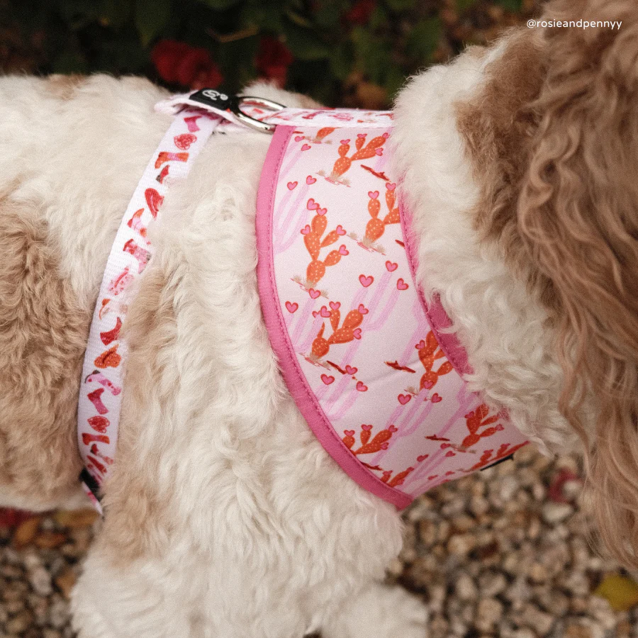Howdy, Honey Reversible Harness - Image 5