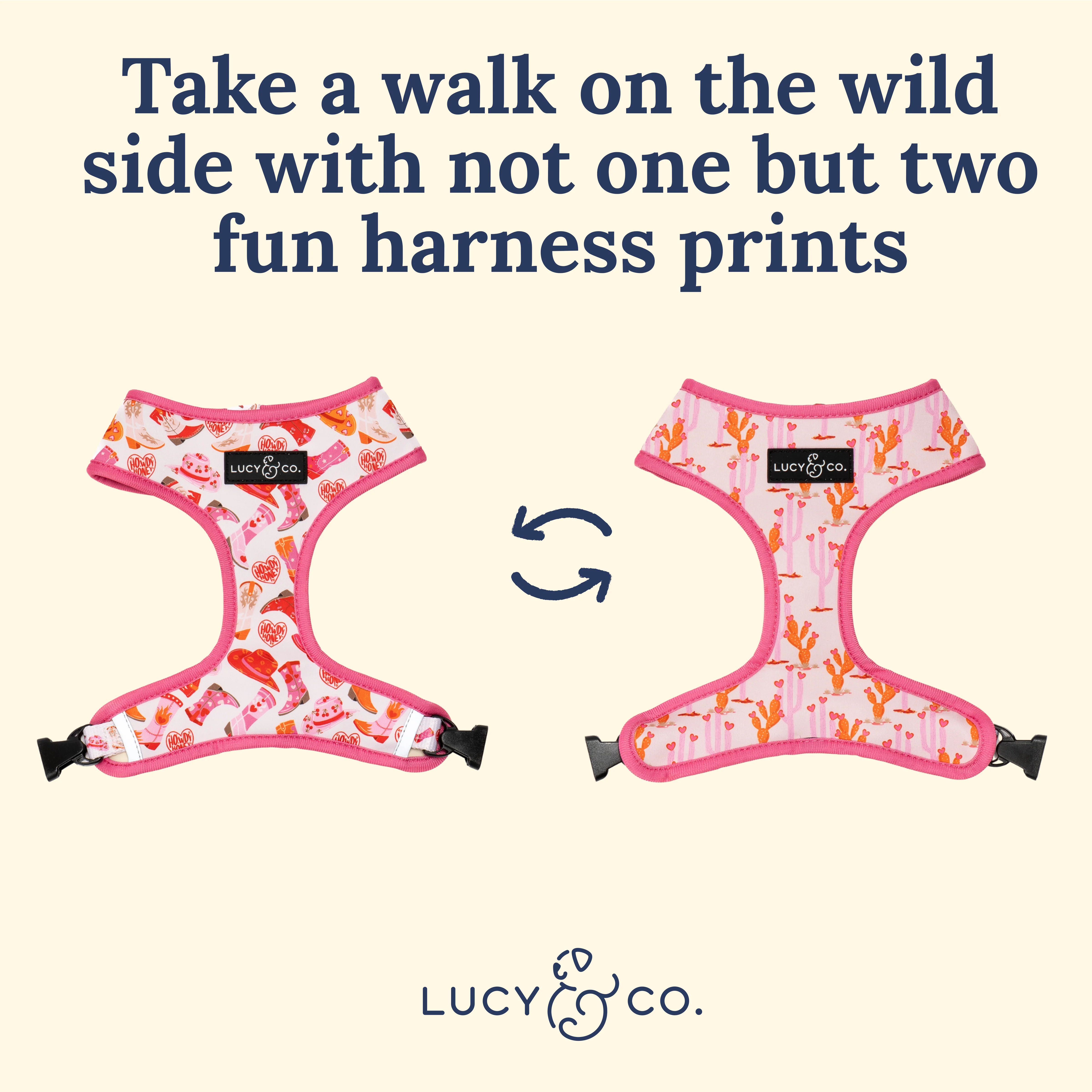 Howdy, Honey Reversible Harness - Image 9