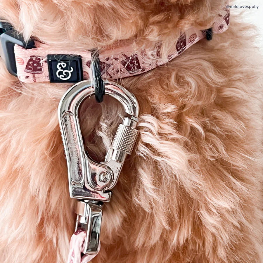 Iced Coffee SZN Collar - Image 3