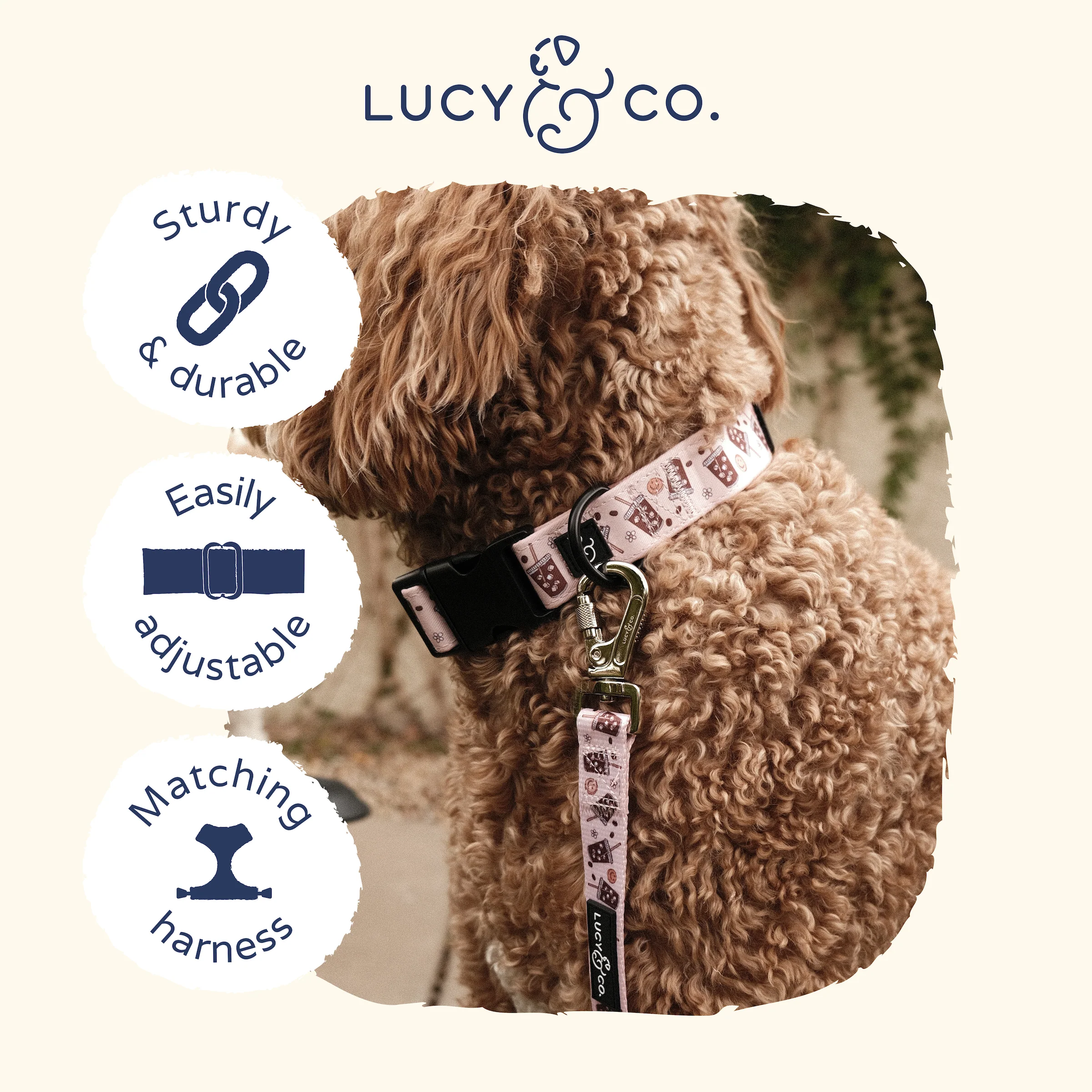 Iced Coffee SZN Collar - Image 6