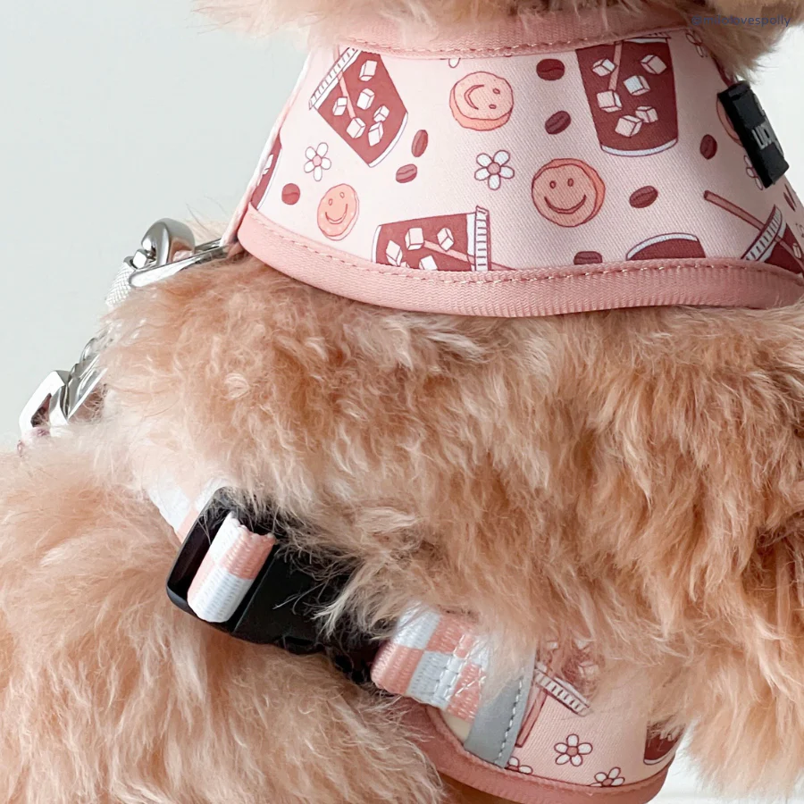 Iced Coffee SZN Reversible Harness - Image 5