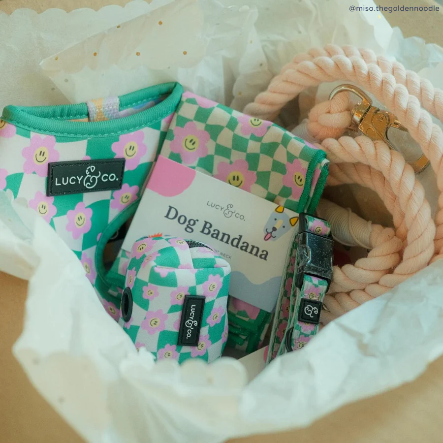 Just Chill Bandana - Image 7