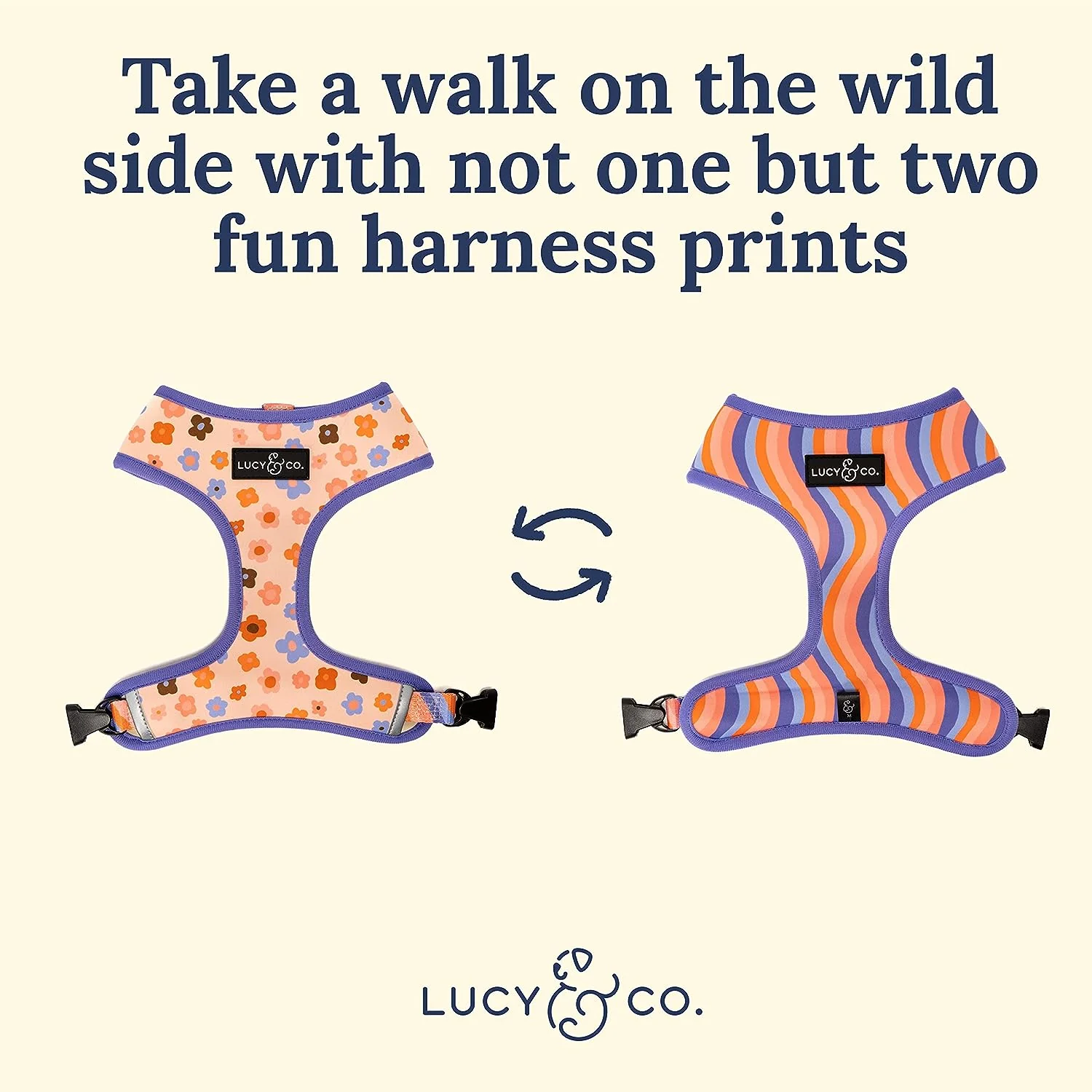 Let's Groove Reversible Harness - Image 5