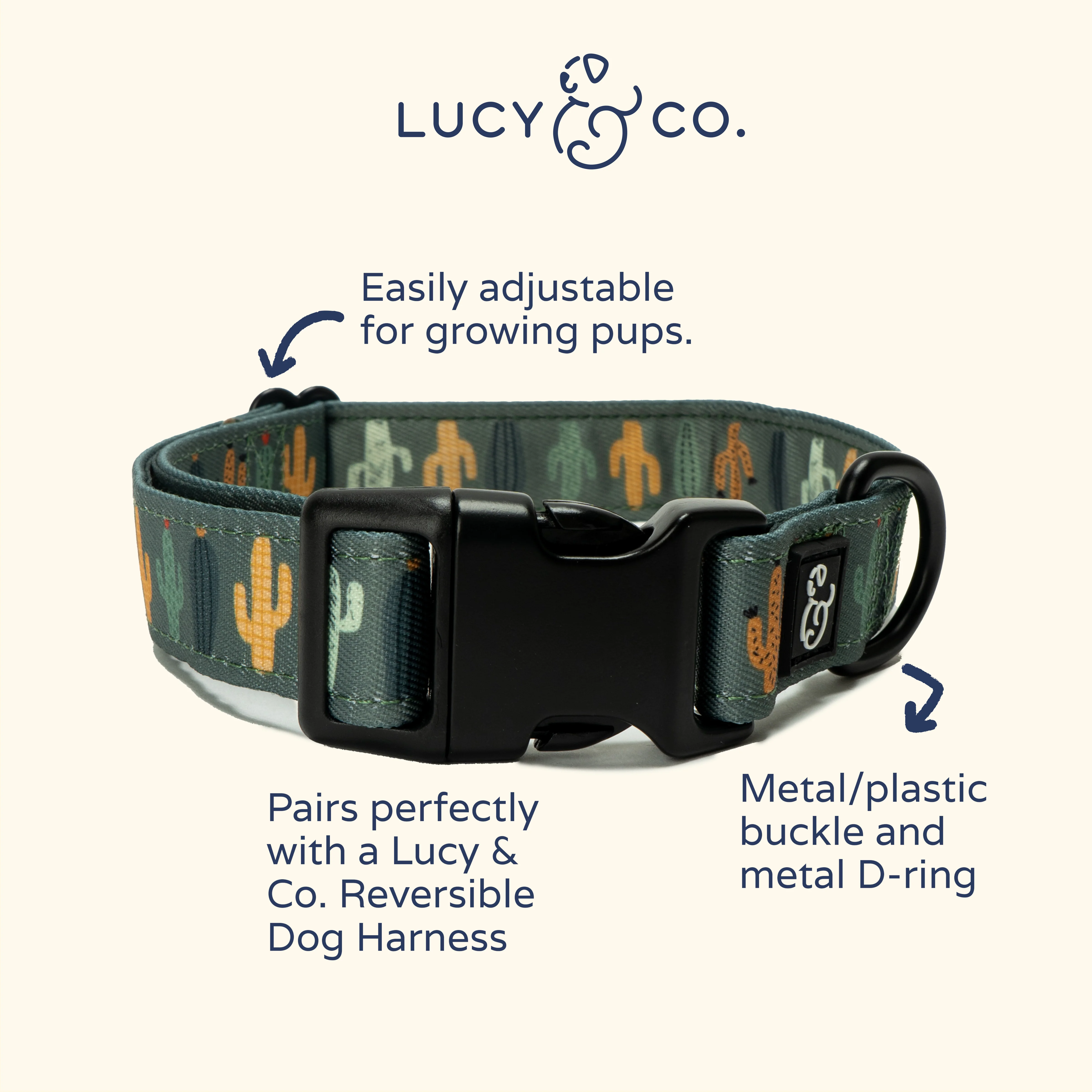 Looking Sharp Collar - Image 3