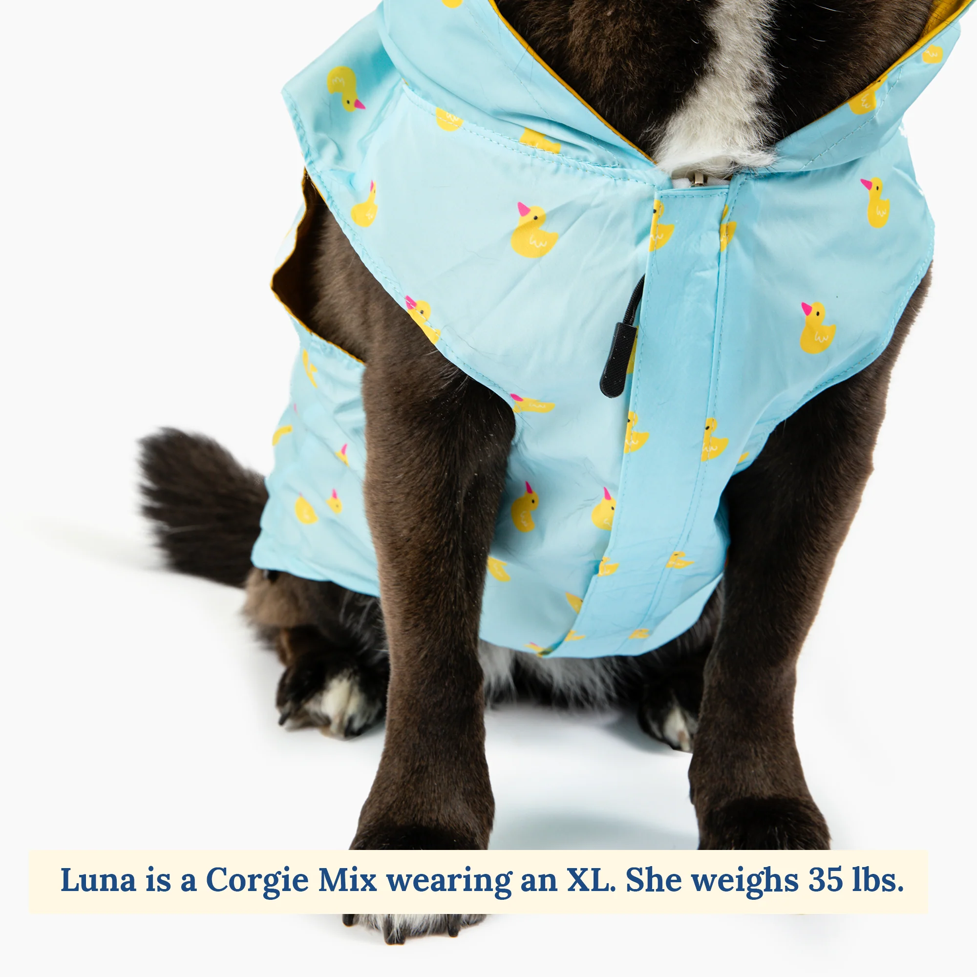 Lucky Ducky Reversible Raincoat - Image 8