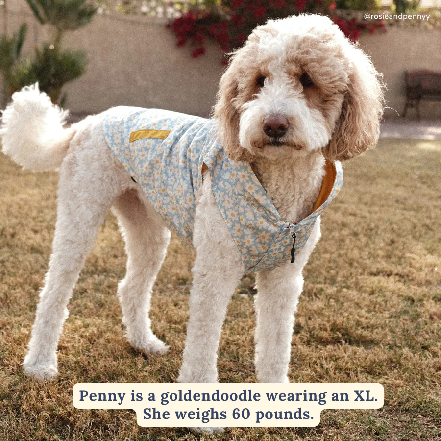 Simply Splendid Reversible Raincoat - Image 3