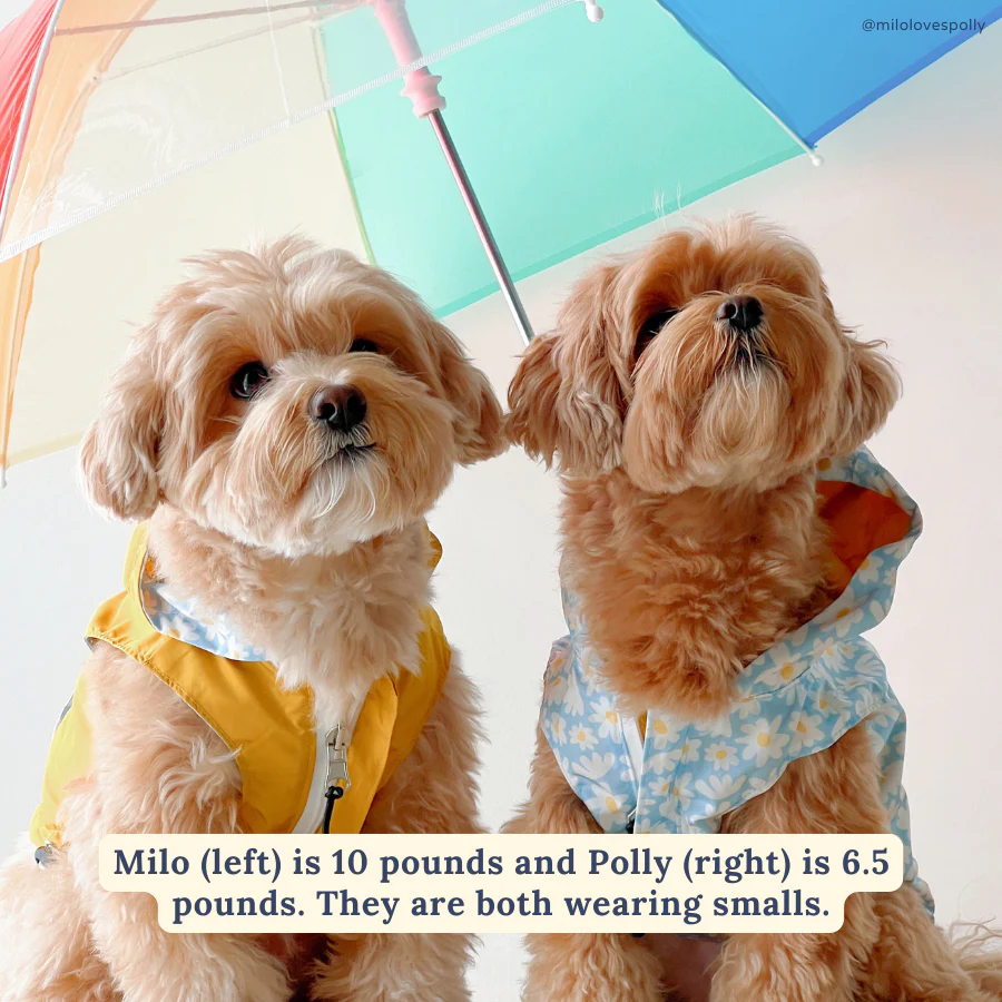 Simply Splendid Reversible Raincoat - Image 4