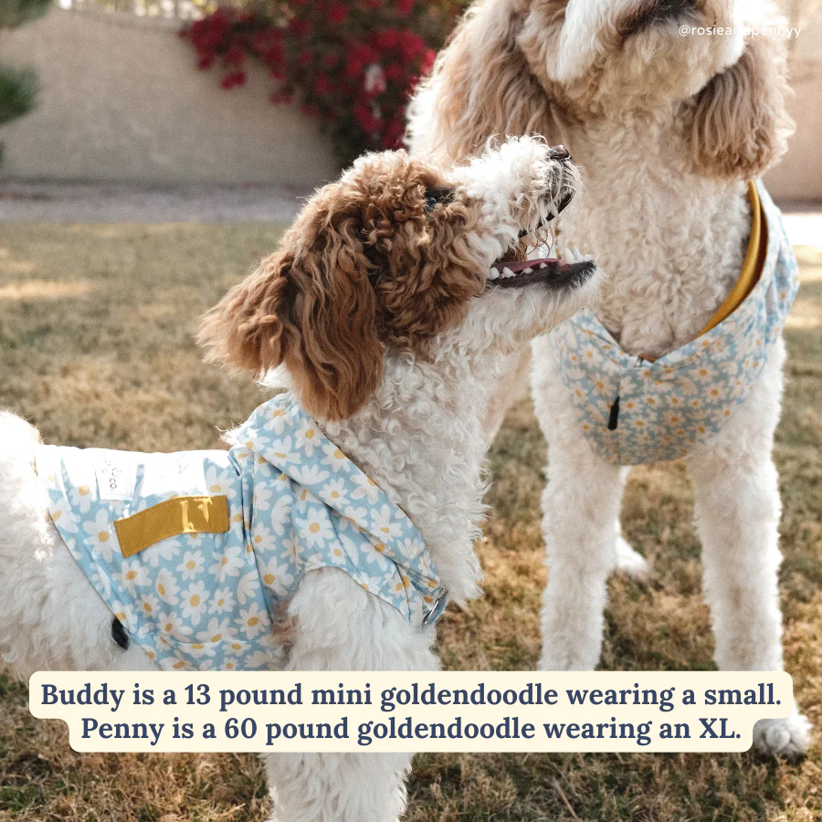 Simply Splendid Reversible Raincoat - Image 5